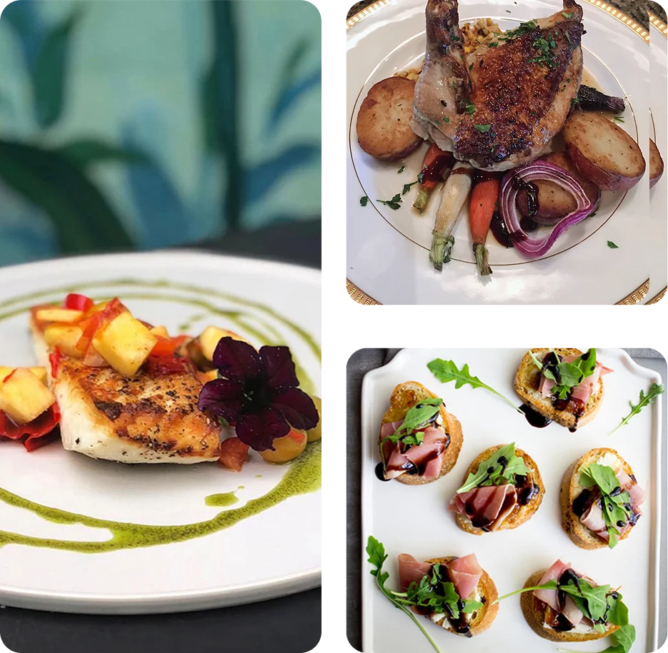 Gourmet dishes with chicken, fish, and appetizers.